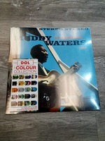  Muddy Waters 1960 at Newport  Vinyl Record / NEW
