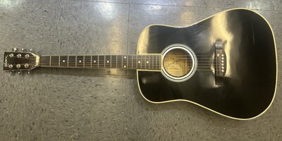 Esteban American Legacy Acoustic Guitar  (AL-100)