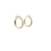 10kt Yellow Gold CZ Huggie Hoop Earrings