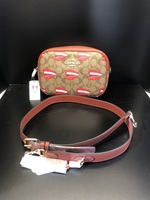 NWT Coach Crossbody Khaki Tom Wesselmann Jamie Camera Rolling Stone Edition