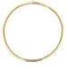  14kt Two Tone Omega Necklace