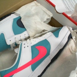 Nike Dunk Low Retro Men's Size 10.5 (HF4850 345) Dusty Cactus/ Thunder Blue