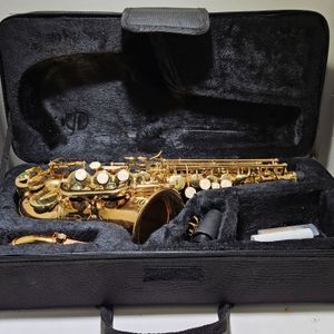 Gold Lazarro Alto Saxophone LZR320SS w/case 