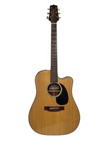 Takamine Acoustic/Electric Guitar 