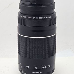 canon 73-300mm ef Lens