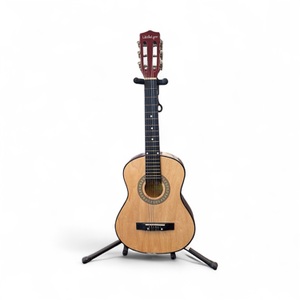 Washburn llag1