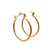 14kt Yellow Gold Hoop Earrings