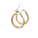 10kt Yellow Gold Mesh Hoop Earrings