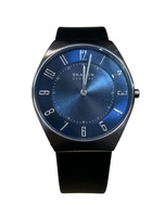 Skagen Blue Dial Men's Wrist Watch skw6826