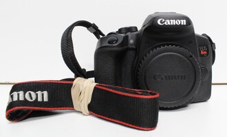 Canon EOS Rebel T8i 24.1MP Digital SLR Camera - Black (Body Only)
