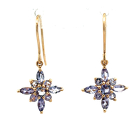14kt Yellow Gold Tanzanite Dangling Earrings