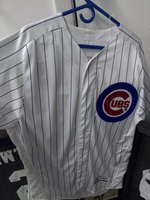 Jose Quintana Chicago Cubs Team Jersey 