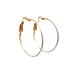 10kt Yellow Gold Hoop Earrings