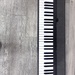 Casio CT-S1 61-key Portable Keyboard - Black