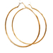  14kt Yellow Gold Hoop Earrings