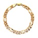 10kt Yellow Gold 9" 8.25mm Figaro Link Bracelet
