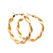  14kt Yellow Gold Hoop Earrings