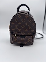 Louis Vuitton Mini Palm Spring Backpack 
