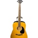 Rogue Acoustic Guitar  