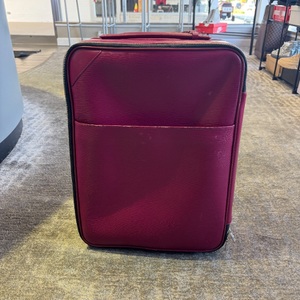 Louis Vuitton Epi Pegase
