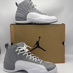 Air Jordan 12th Stealth