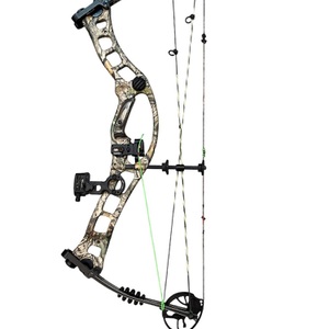 Hoyt turbo hawk