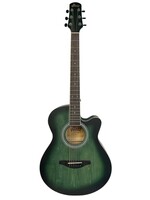 Winzz AF-H00L Beginner Acoustic Guitar Green