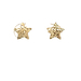 14kt Yellow Gold Star Stud Earrings