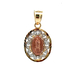 10kt Tri-Color Virgin De Guadalupe Pendant