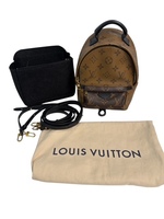 Louis Vuitton Reverse Monogram Palm Springs Backpack Mini